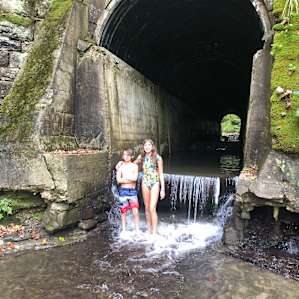 Streamside Eriegrove