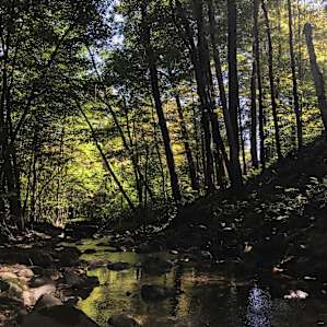 Texas Hill Brook Campsite