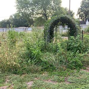 Rustic Roots Sanctuary and Farm
