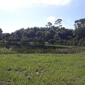 Taste of Old Florida trailer and RV camping