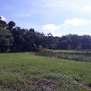 Taste of Old Florida trailer and RV camping