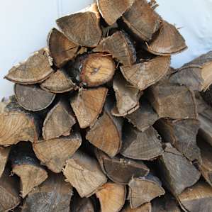 Lots of wood available, to include down wood.