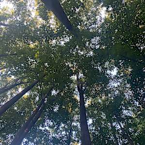 Scenic Turtle Ridge