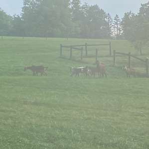 Scenic Turtle Ridge