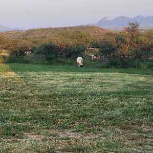 Rancho del Nido RV Horse Camp