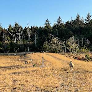 Cranberry Overlook