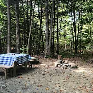 Nice picnic table… looks new! And fire pit too