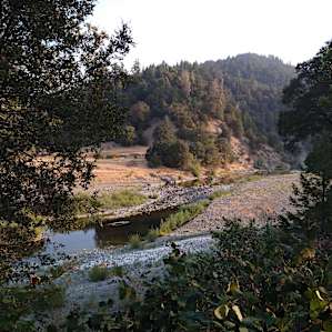 Eel River Perch