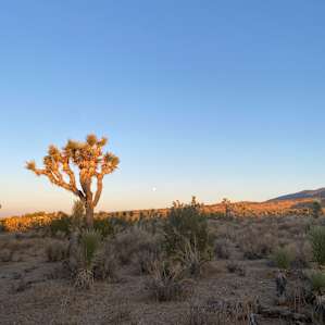 Basecamp 138 Desert Ranch