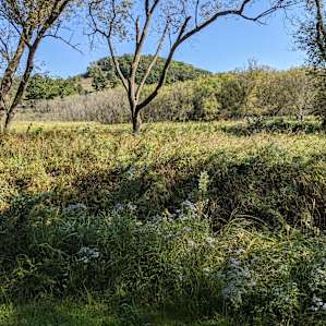 Grateful Farms Creekside