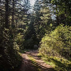 Blue Mountain Reserve