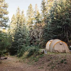 tent forest