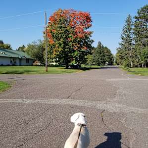Fall colors!
