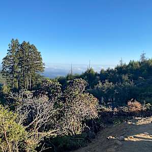 #5 Private Gated Hideaway w/ Views!