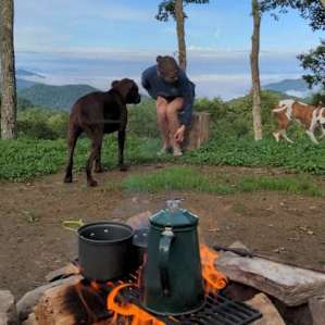Songbird Mountain Camping