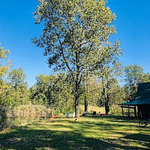 Quiet Family Horse Farm