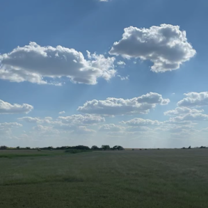 Cotton ball clouds
