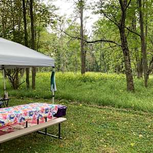My site with its beautiful wildflower view.