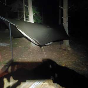 Perfect spot for hammock camping. Good tree spacing. Not alot of widow makers in the canopy.