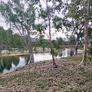 Lovely creek for a swim