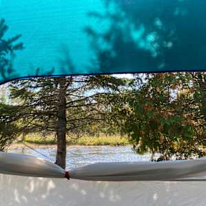 Among the Pines Along the River