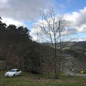 Nice views, with enough privacy.