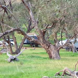 Camping Sites-Wildlife Haven