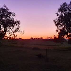 Camping Sites-Wildlife Haven