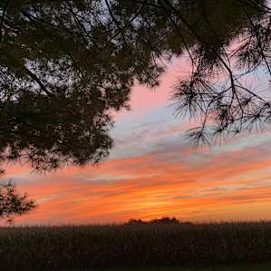 The Edge of Driftless