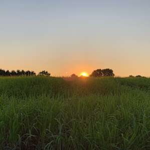 The Edge of Driftless