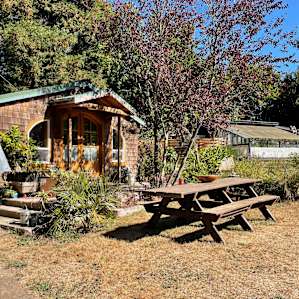 Redwood Grove Tent Platform
