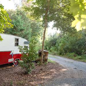 Retro Camper in the Woods
