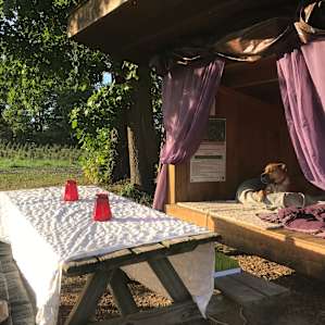 Milton loved the Shelter, cool (56) night but we were cozy