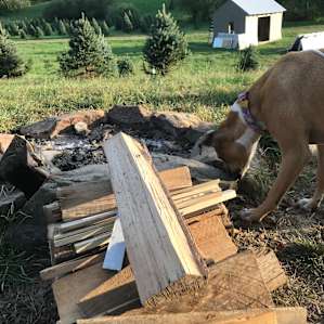 Host brings wood right to your site!