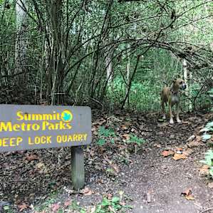 2 mins away! Miles of gorgeous wide and easy trails.
