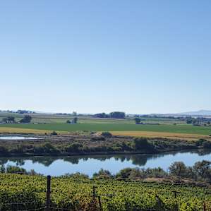 River and Vineyard View Campsite