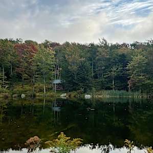 Pond next to inn