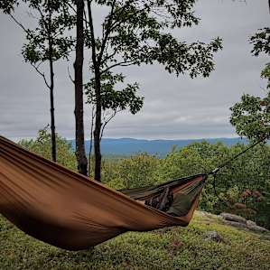 Hussey Mtn. Tree Farm (The Ridge)