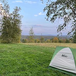Birch camp