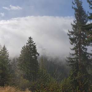 Fog in valley