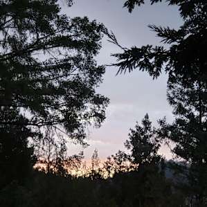 Sunrise