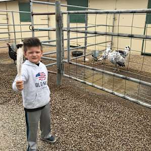 Turkey feather 🪶 Tom the turkey and that really is his name, gave my son something he will share with his friends in kindergarten.