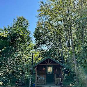 Nestled in the trees