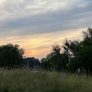 Sunset views 💛