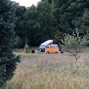 Haus Camp: Meadow/Deciduous Forest