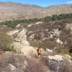 On trail.