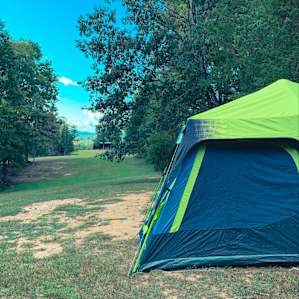 Camping on Farm & Animal Sanctuary