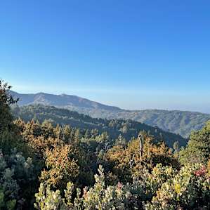 #1 Acres of Privacy Heavenly Views