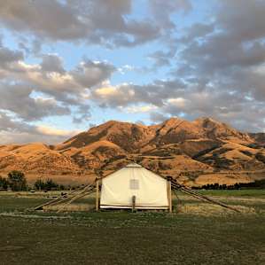Yellowstone Dreamin Camp