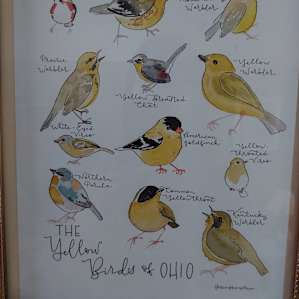 Songbird Suite on Large Pond